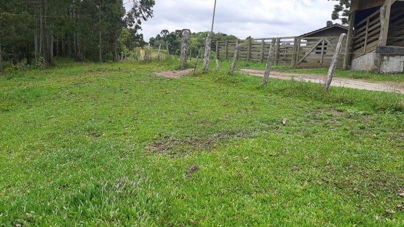TERRENO RURAL EM PONTE ALTA