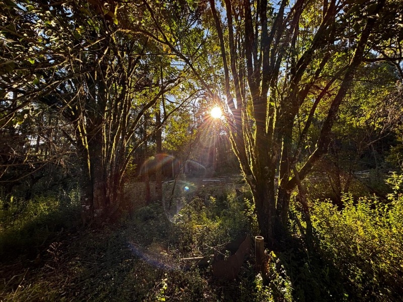 Terreno em São José do Cerrito